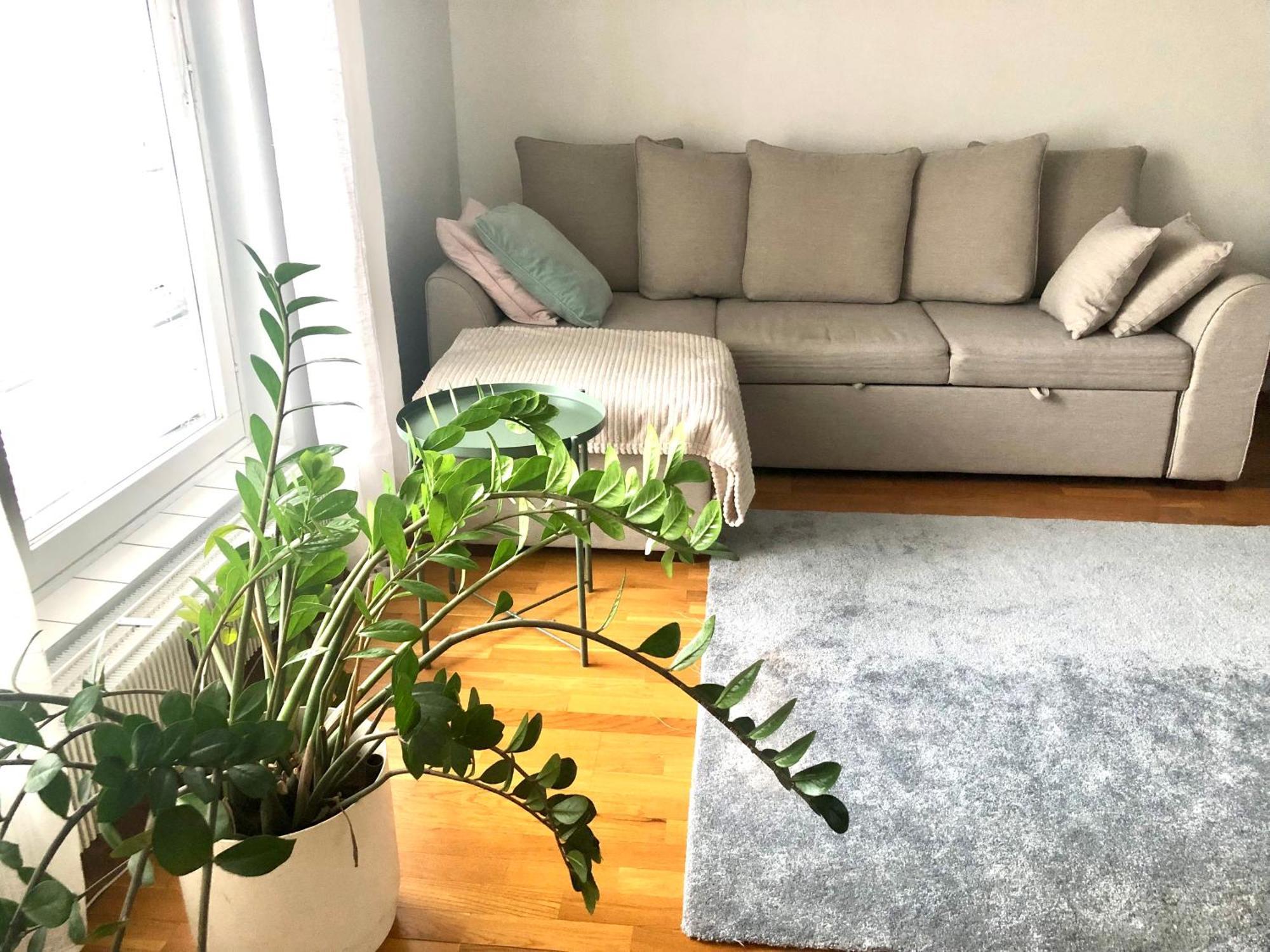 Appartement Scandinavian Design Heart Center Runeberginkatu *