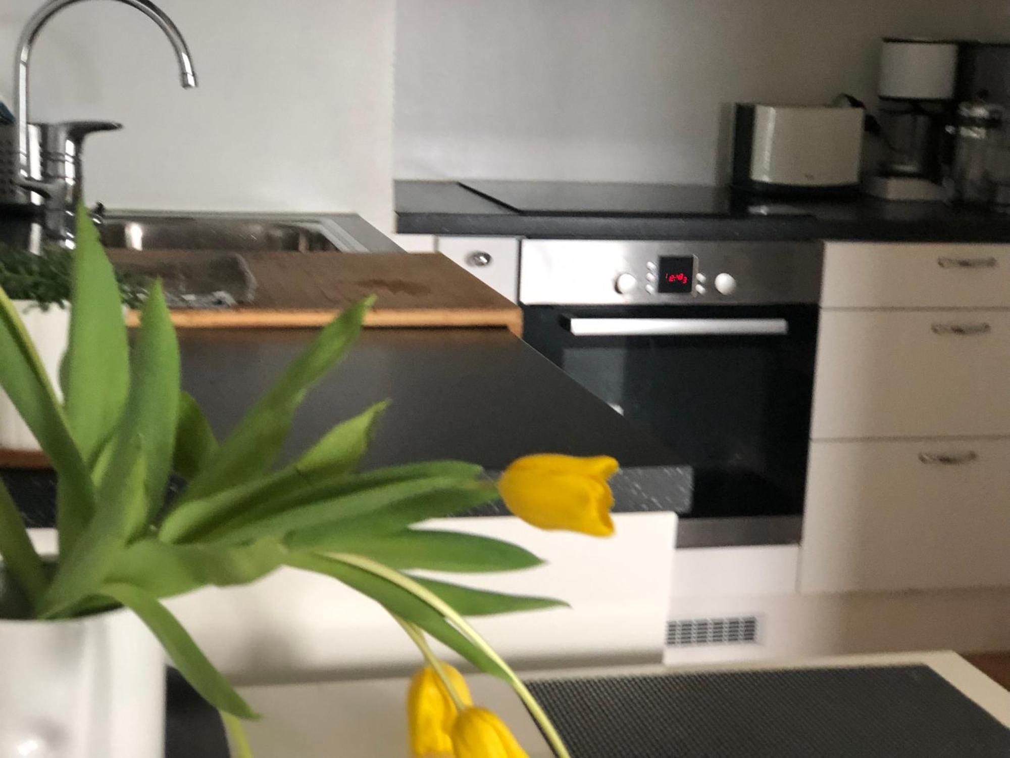 Appartement Scandinavian Design Heart Center Runeberginkatu